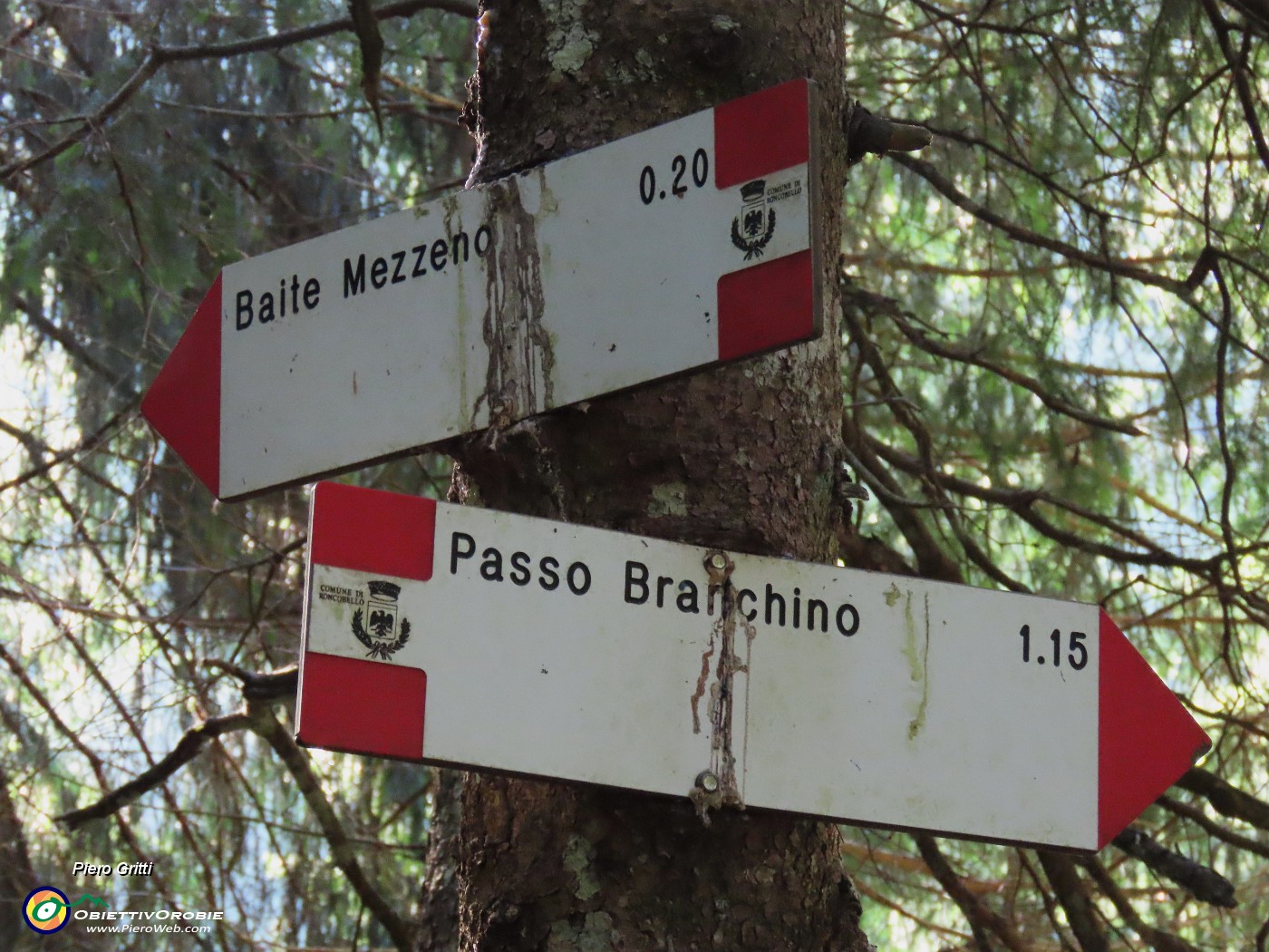 11 Scegliamo il sentieroa dx per agganciare sent. 219 per Passo Branchino.JPG